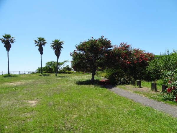 e0033751_18302211.jpg