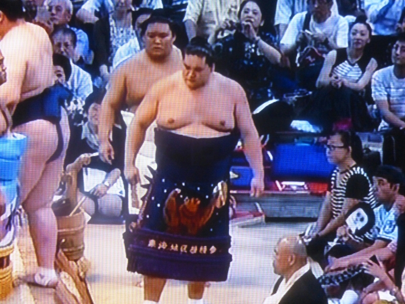 今場所の化粧まわし 15名古屋場所 いちから日記 今場所の化粧まわし 15名古屋場所 いちから日記
