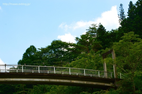 目指すはキラキラした夏の思い出_f0344556_16542506.jpg