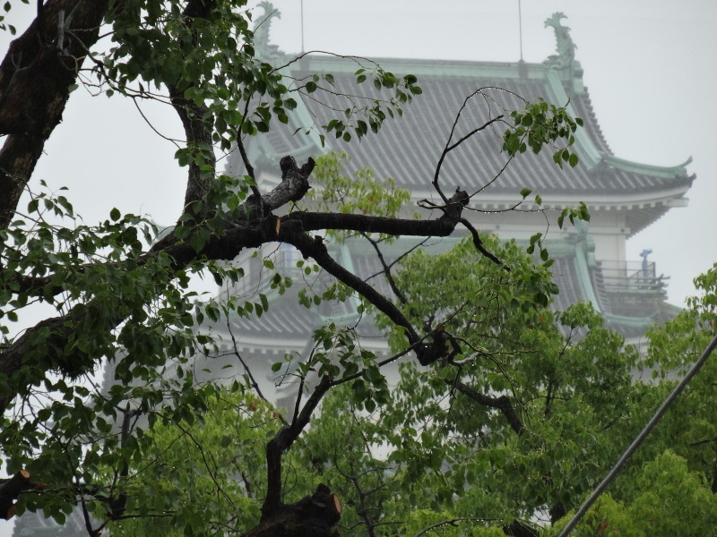 c0108460_17501729.jpg
