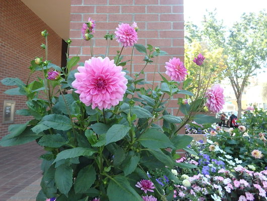 c0115366_1154628.jpg