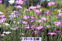 六甲山♪_e0340671_23050527.jpg