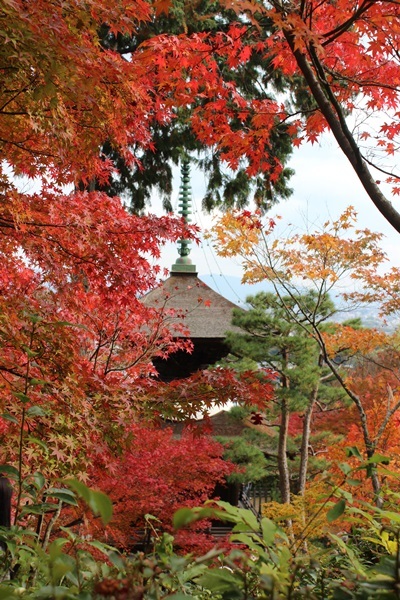 嵯峨野~嵐山_e0340671_23134154.jpg