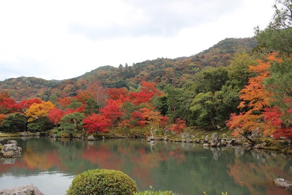 嵯峨野~嵐山_e0340671_23134250.jpg