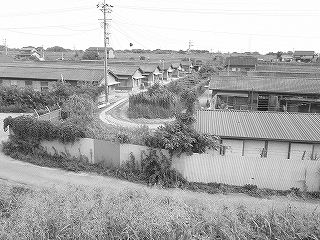 長良川・木曽川堤防道路サイクリング_e0064783_21263848.jpg