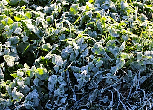 c0229584_2205889.jpg