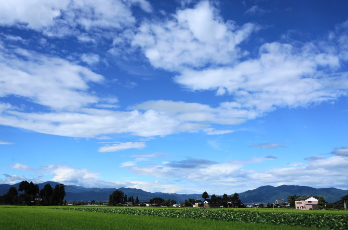 梅雨が明けて・・・_d0047885_23324502.jpg