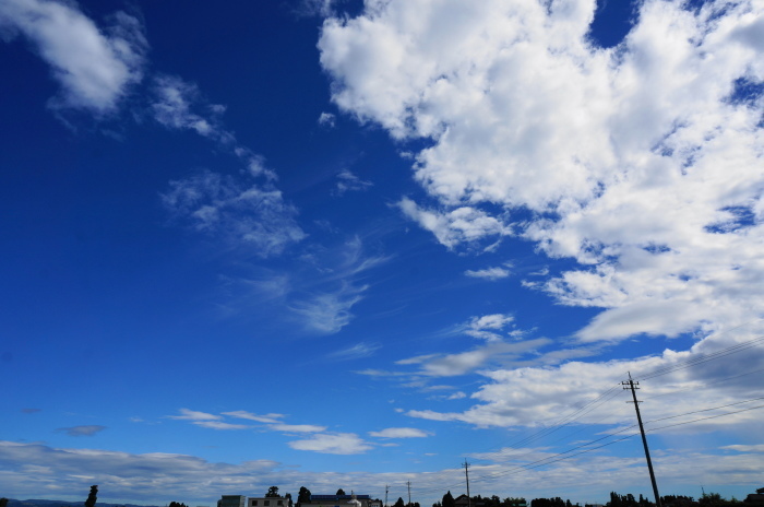 梅雨が明けて・・・_d0047885_23420853.jpg