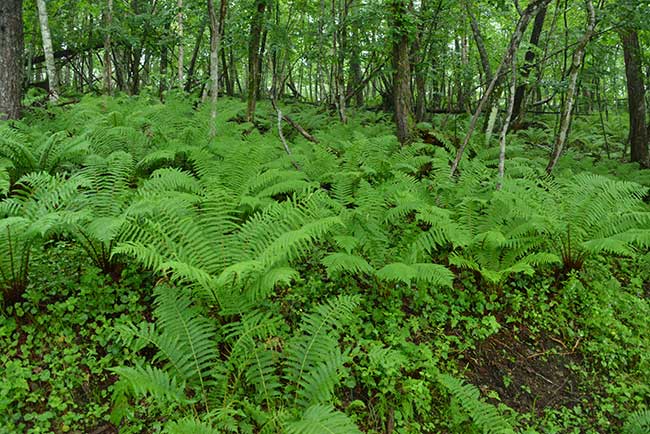 f0212586_13523169.jpg