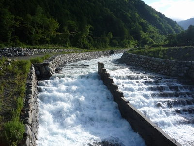 b0035391_14583975.jpg