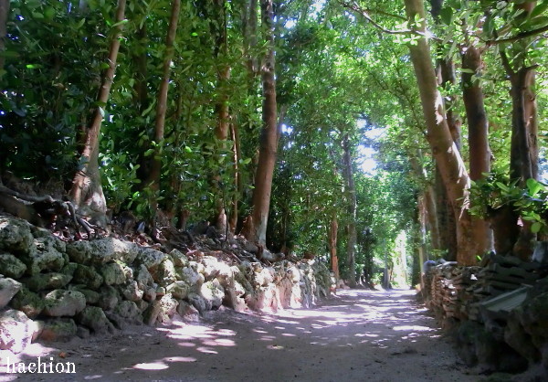 a0202502_16504688.jpg