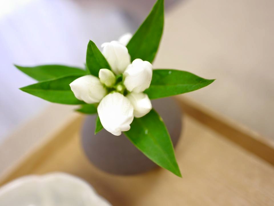 a0220905_16373039.jpg