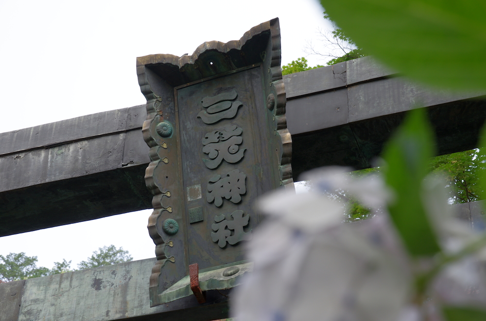 2015紫陽花(番外編)_f0138807_00968.jpg