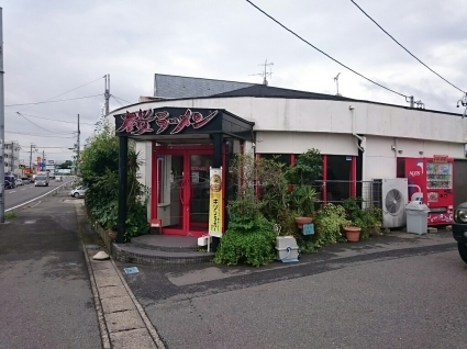 桜ラーメン笠松店 特製赤みそチャーシューメン ¥950_b0042308_14220438.jpg