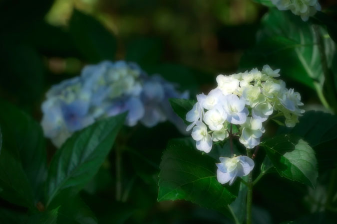 a0263109_1383584.jpg