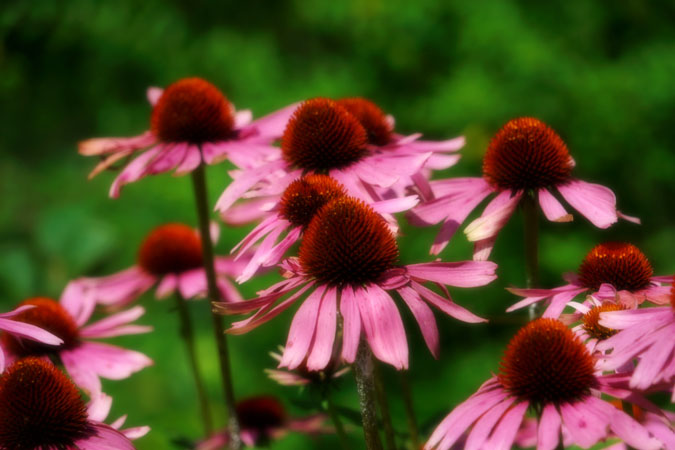 a0263109_1385443.jpg