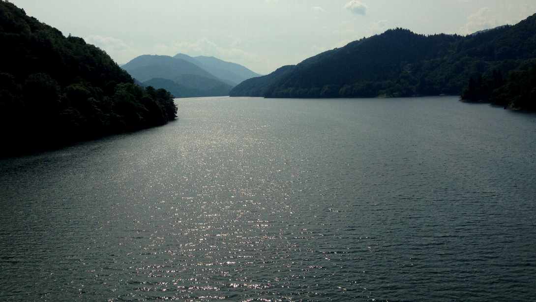 e0003910_6465575.jpg