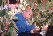 d0019913_208717.jpg