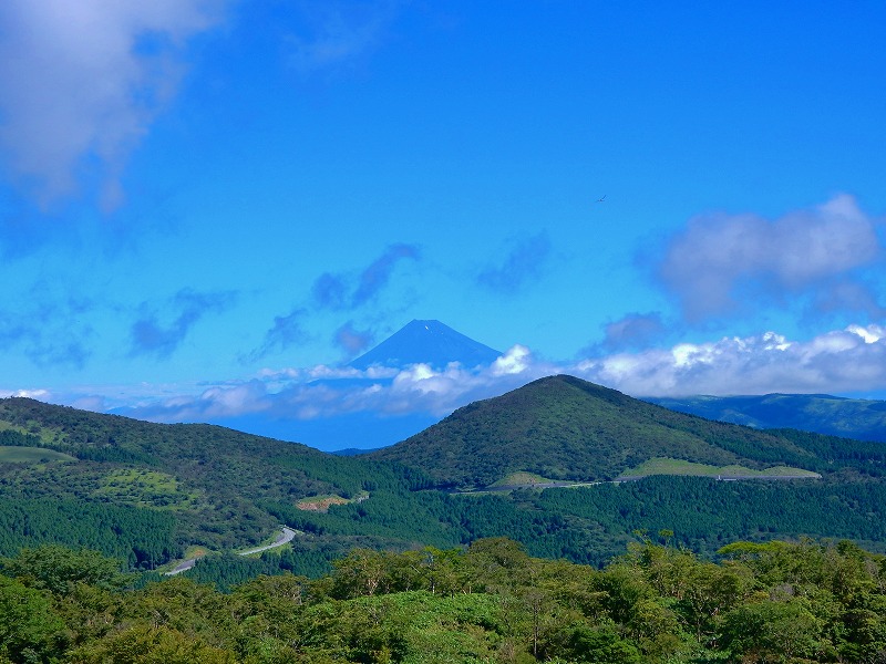 f0182513_2249547.jpg