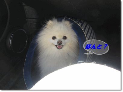 b0167519_22182341.gif