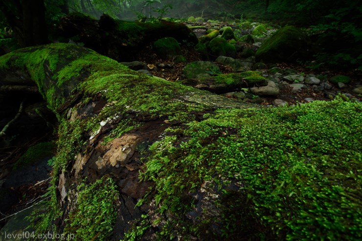 d0319222_1424513.jpg