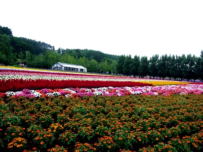 c0204725_1311286.jpg