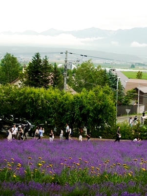 c0204725_1313646.jpg