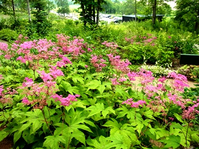 c0204725_137673.jpg
