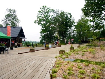 c0204725_15475944.jpg