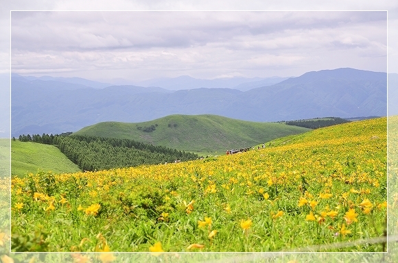 2015夏 車山高原 清里旅行 観光 車山高原のニッコウキスゲ こなつとじぃじ 2015夏 車山高原 清里旅行 観光 車山高原のニッコウキスゲ こなつとじぃじ