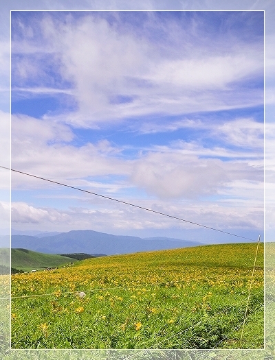 ２０１５夏  車山高原＆清里旅行  ～ 観光・車山高原のニッコウキスゲ ～_d0179828_09522131.jpg