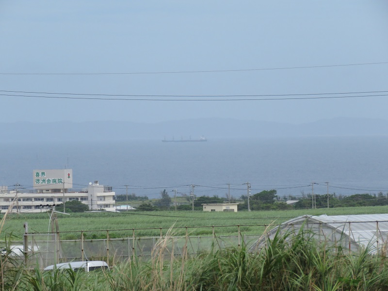 b0288942_935285.jpg