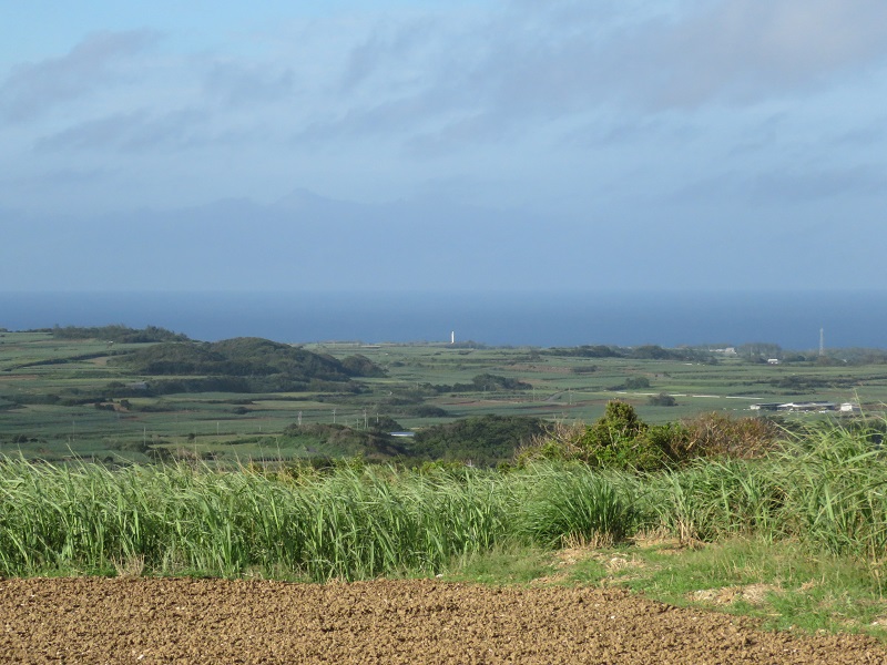 b0288942_961927.jpg