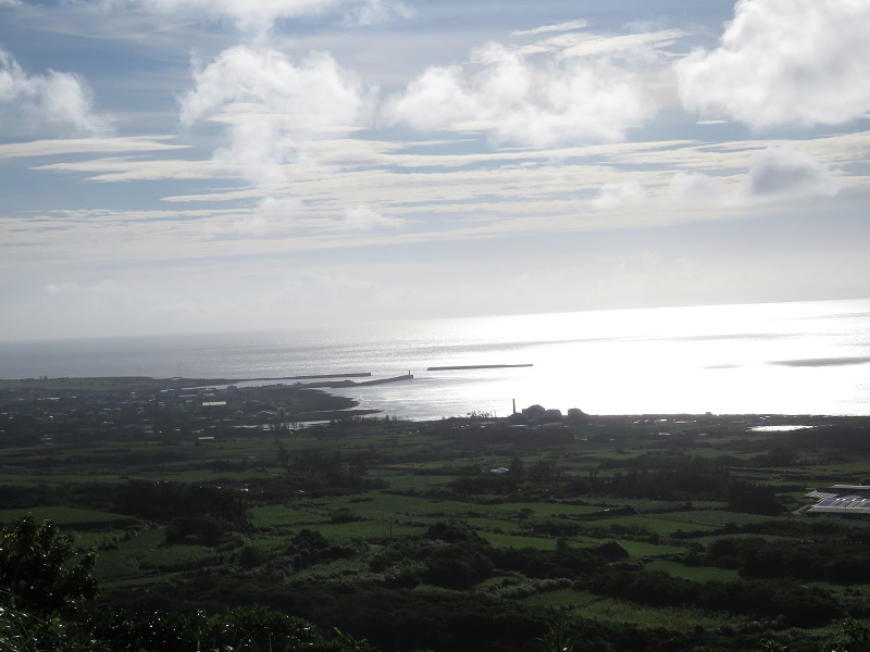 b0288942_98883.jpg