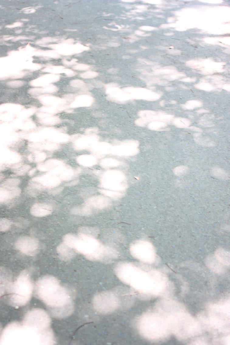 b0243443_22981.jpg