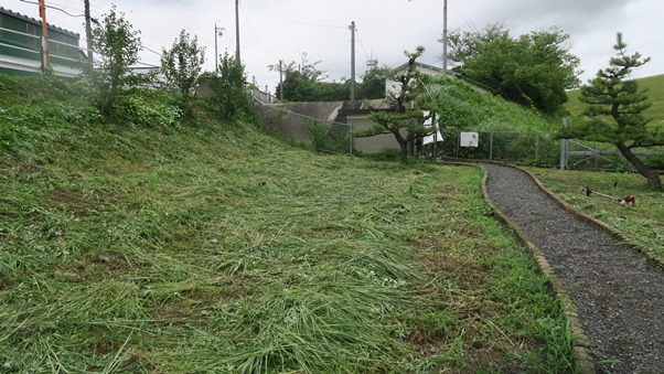 ほこら地の草刈り_f0313744_2385330.jpg