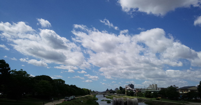 定点観測～2015年梅雨から初夏～_c0217551_18343236.jpg