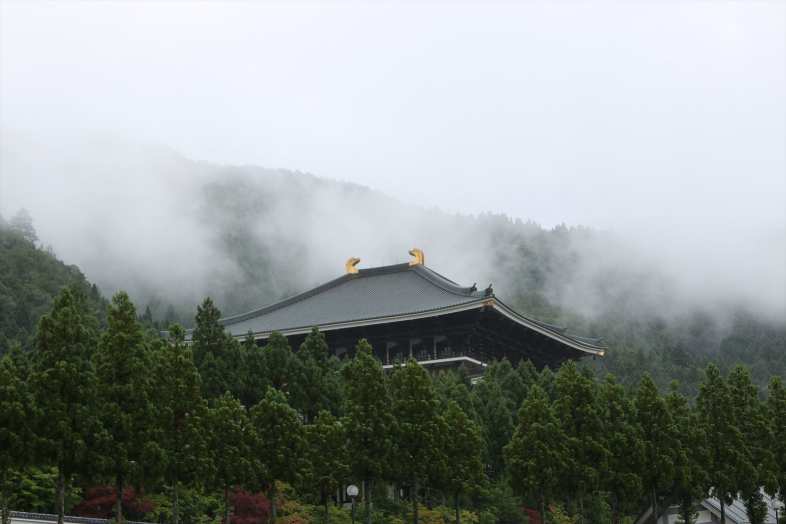 f0358360_22010914.jpg