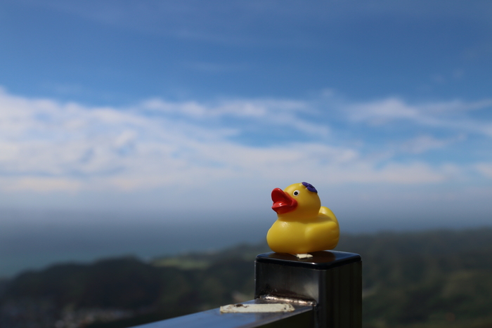 房総半島、館山温泉ドライブ旅行～鋸山へ　2_d0152261_2354331.jpg