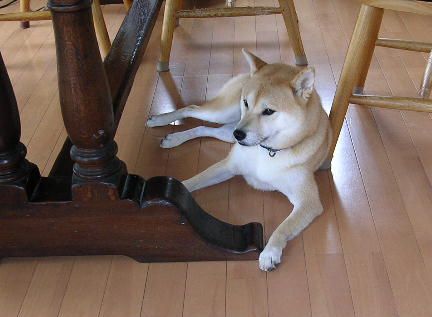 ’15,7,23(木)どうして勝浦が好きかっていうとね!_f0060461_1128141.jpg