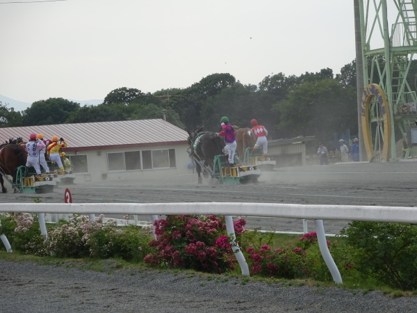 帯広ばんえい競馬_b0222066_06120714.jpg