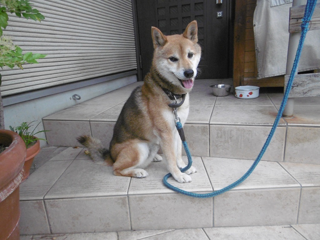 今日のポポンタ_f0205367_18121534.jpg