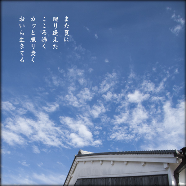 夏に廻り逢う喜び すくえあのーと 夏に廻り逢う喜び すくえあのーと