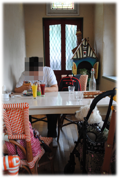 b0242873_23555225.png