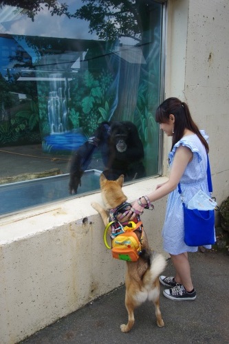 【桃旅 #005】露天風呂と伊勢海老タワー！@別邸石の家 伊豆高原_c0364176_21010100.jpg