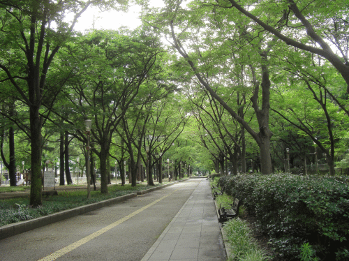 c0095679_18152005.gif
