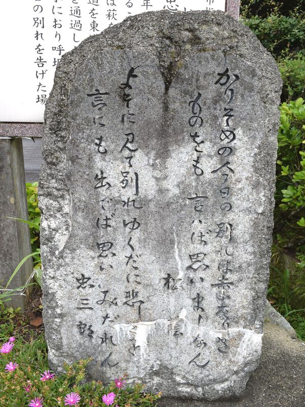 d0061579_1154611.jpg