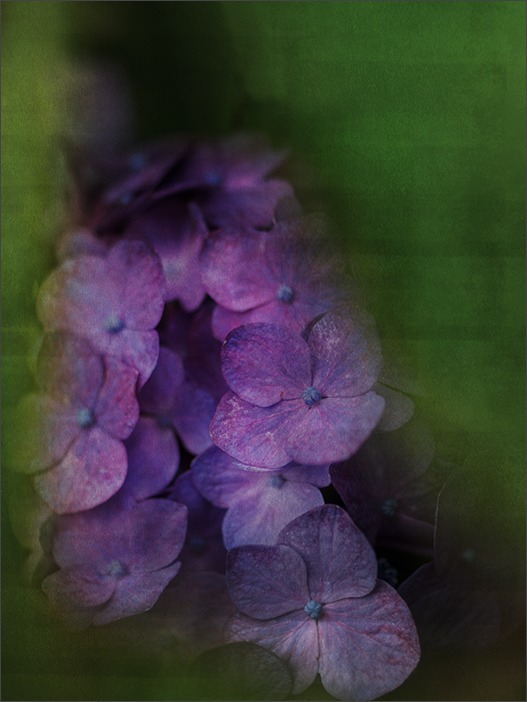 vintage-ヴィンテージ-_a0161380_9203569.jpg