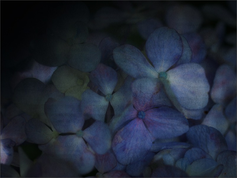 vintage-ヴィンテージ-_a0161380_954260.jpg