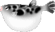 b0032380_22575302.gif